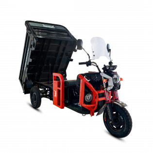 Грузовой электротрицикл SIBTRIKE PRO CARGO 2000W