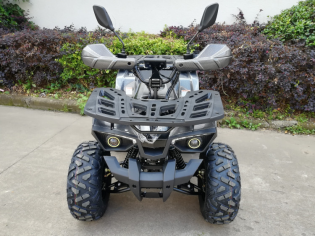 Электроквадроцикл Green Camel Атакама T520 (60V 1500W R8 Дифференциал)