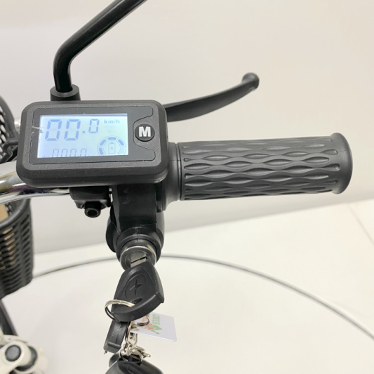 Электровелосипед GreenCamel Транк 18 V8 (R18 500W 60v10Ah)