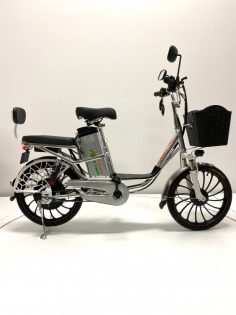 Электровелосипед GreenCamel Транк 20 V8 PRO (R20 500W 60V10Ah) 2х подвес