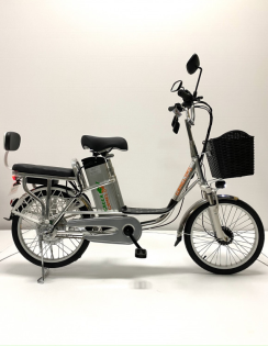 Электровелосипед GreenCamel Транк 20 V8 спицы (R20 500W 60V10Ah)