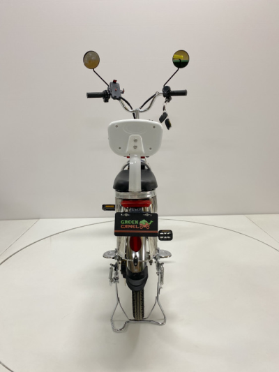 Электровелосипед GreenCamel Транк 20 V8 литой (R20 500W 60V10Ah)