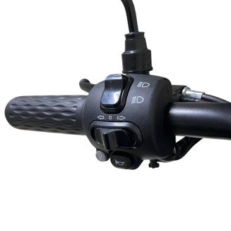 Электротрицикл CityCoco TRIKE GT-EV5 