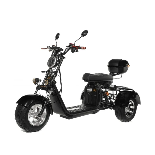 Электроскутер GT Citycoco X7 PRO TRIKE