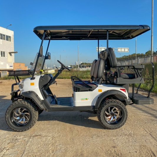 Гольфкар GreenCamel Linhai A22L (2+2, 4kW AC, R14 литые) LUX lifted