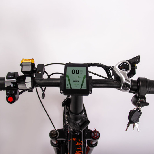 Электровелосипед Rich Bit TOP-016 500W