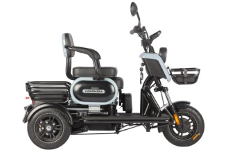 Электротрицикл Wanshida UN MOTO 60V 650Вт