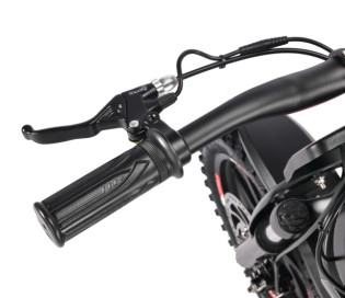 Электромотоцикл WHITE SIBERIA MUXA 1300W детский 