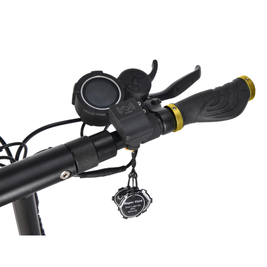 Электросамокат WHITE SIBERIA SPUTNIK 2000W Siberian Gold (золотой)